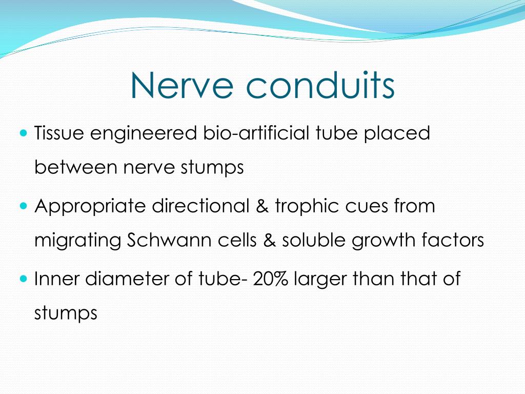 PPT SURGICAL PRINCIPLES OF PERIPHERAL NERVE REPAIR PowerPoint