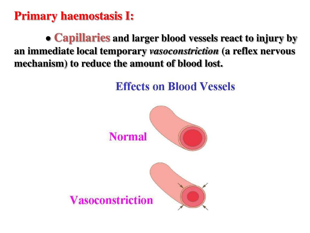 PPT Blood Coagulation PowerPoint Presentation, free download ID2136981