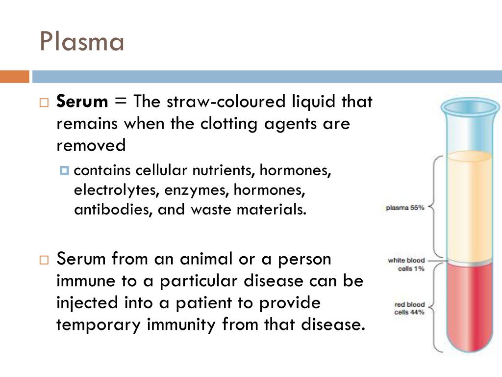PPT Blood Components PowerPoint Presentation, free download ID2137247
