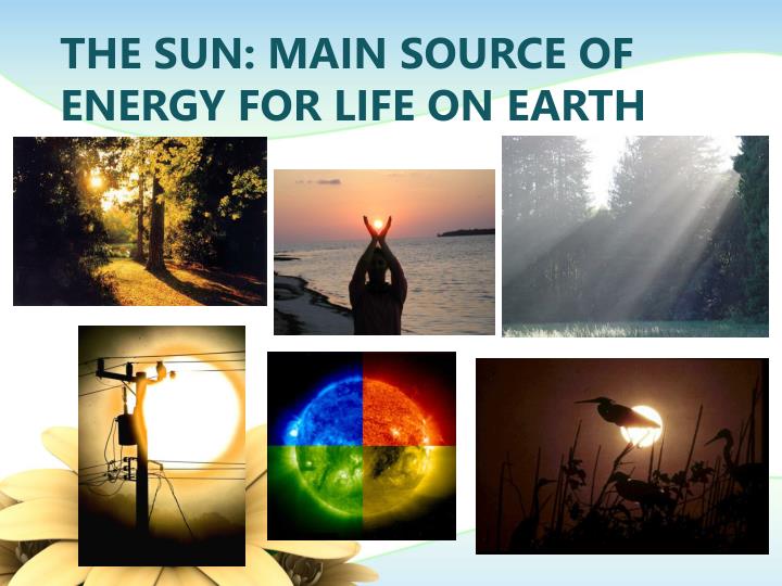 PPT Photosynthesis Transforming Light Energy to Chemical Energy