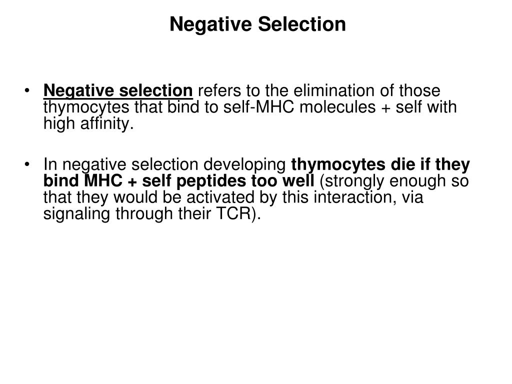 PPT T cell Development PowerPoint Presentation, free download ID