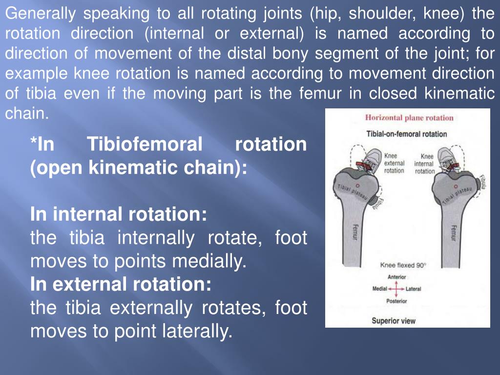 PPT Pathomechanics of Knee Joint (part 1) practical section