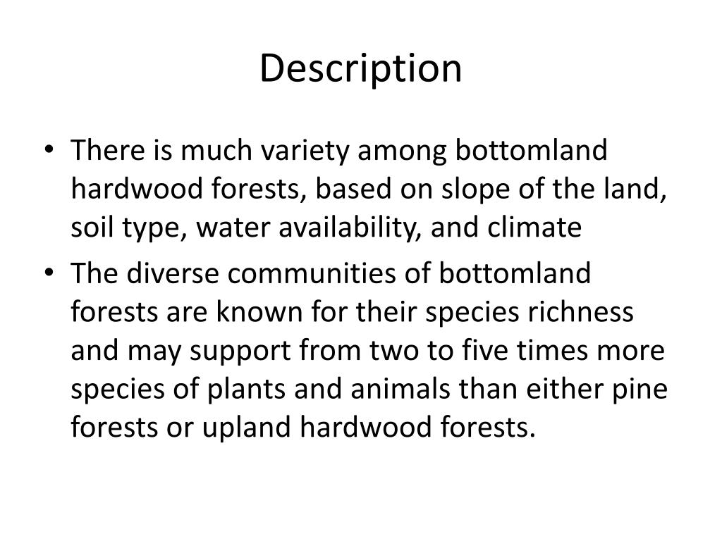 PPT Bottomland Forest Ecosystem PowerPoint Presentation, free