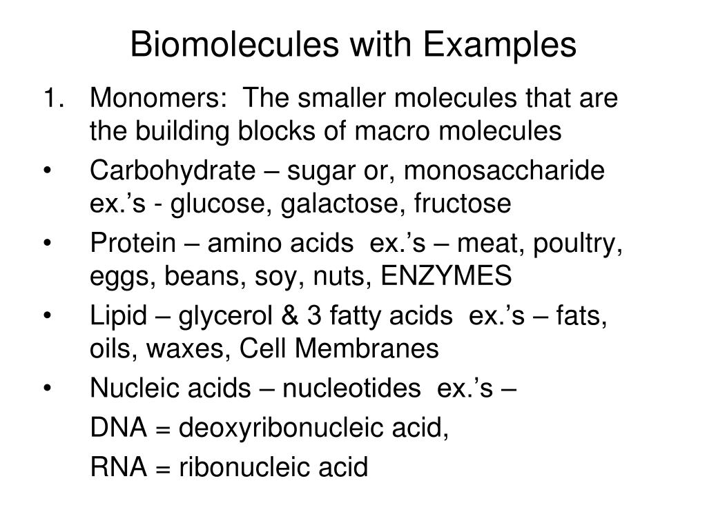 PPT Biomolecules PowerPoint Presentation, free download ID2142839