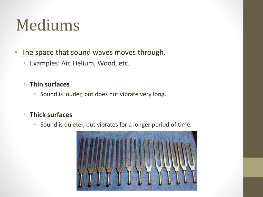 PPT Tuning Forks Lab R eview PowerPoint Presentation, free download