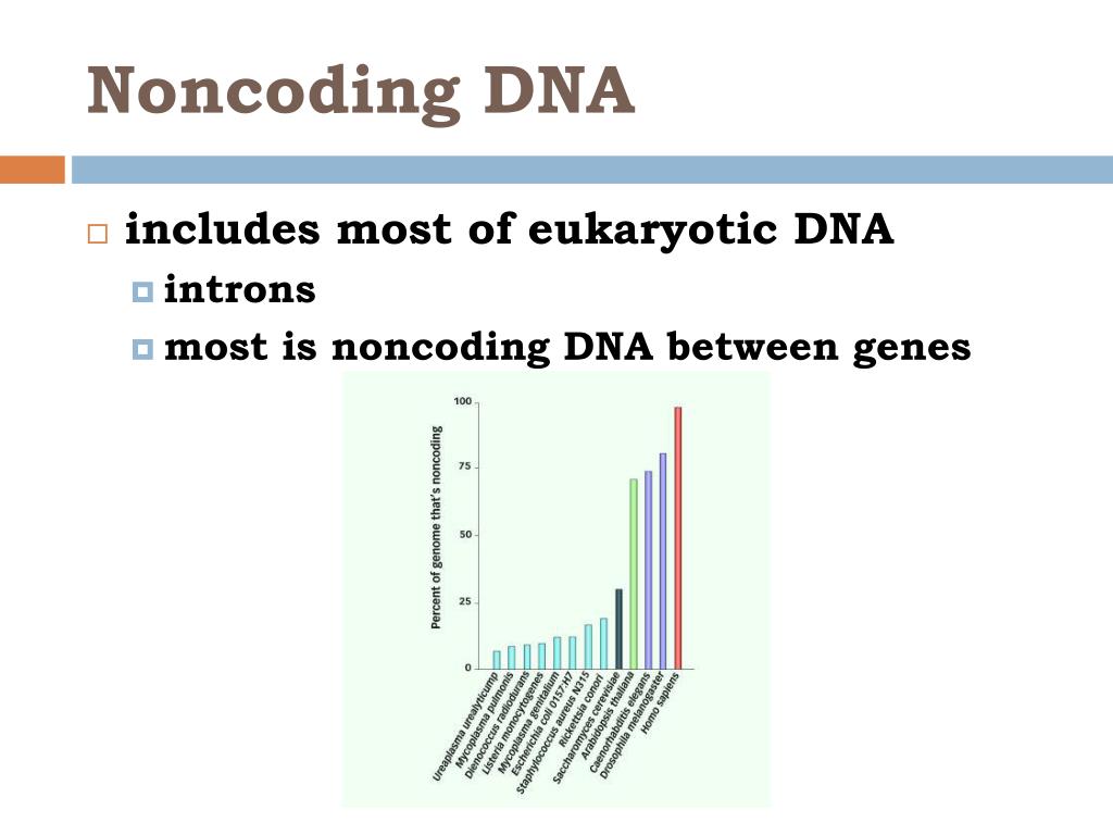 PPT Genomes & their evolution PowerPoint Presentation, free download