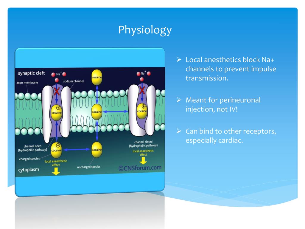 PPT Local Anesthetic Toxicity PowerPoint Presentation, free download