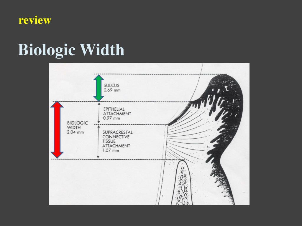 PPT Tissues Treatment before Impression PowerPoint Presentation, free