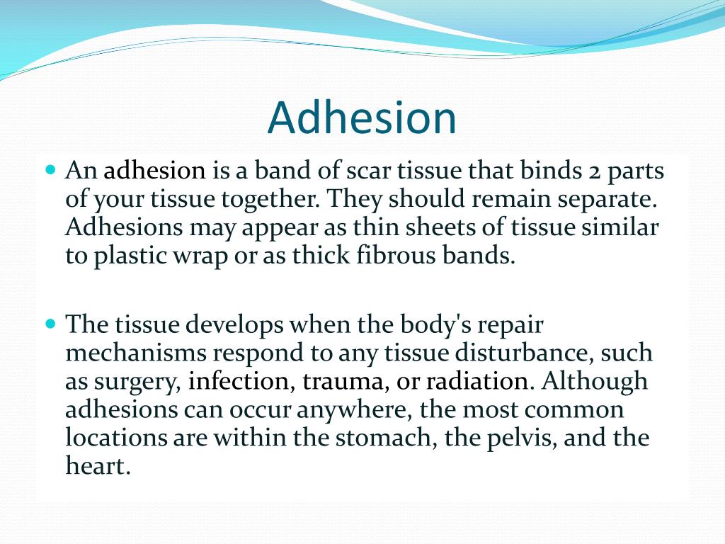 PPT Pathological PowerPoint Presentation, free download ID2151237