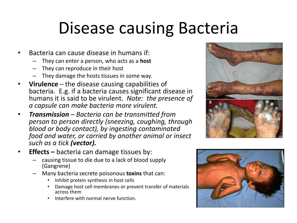 PPT Pathogens PowerPoint Presentation, free download