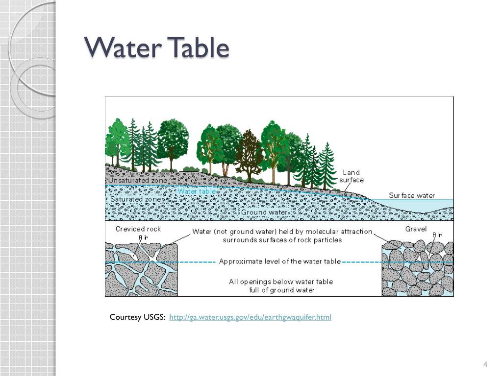 PPT HONR 297 Environmental Models PowerPoint Presentation, free