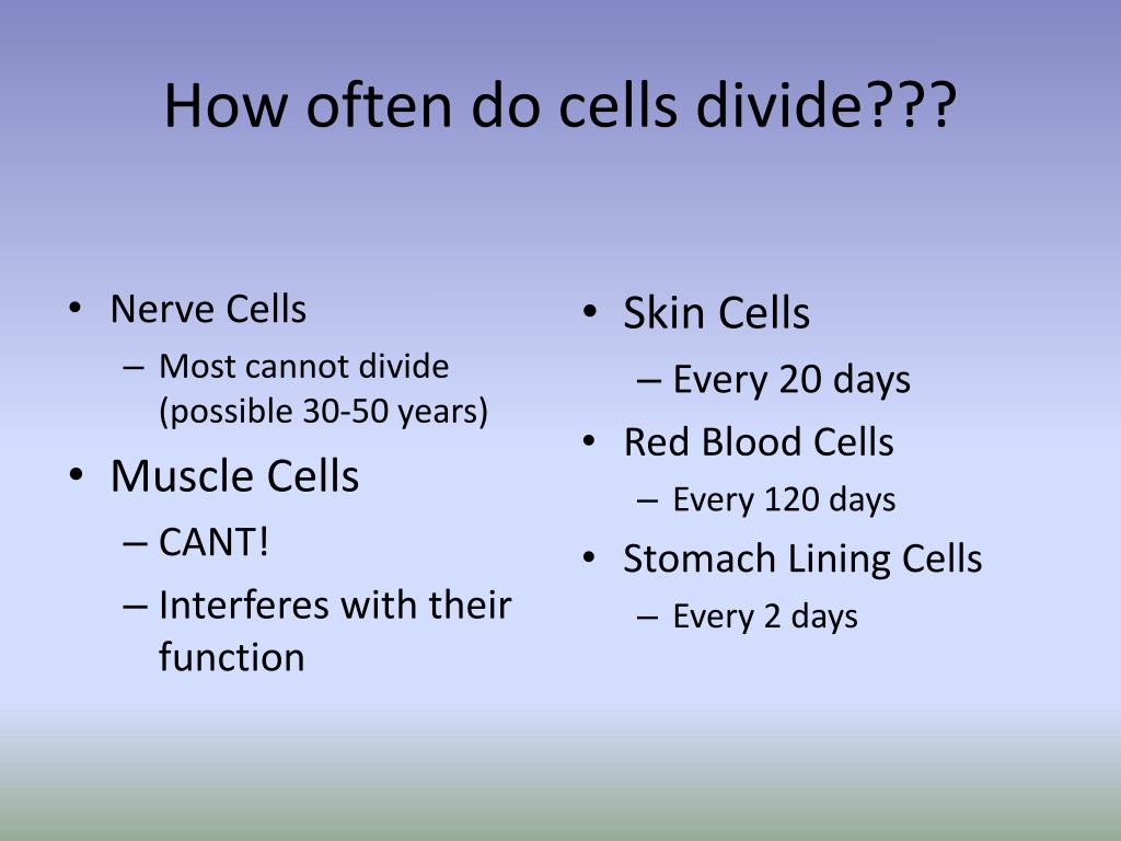 PPT Why do cells divide? PowerPoint Presentation, free download ID