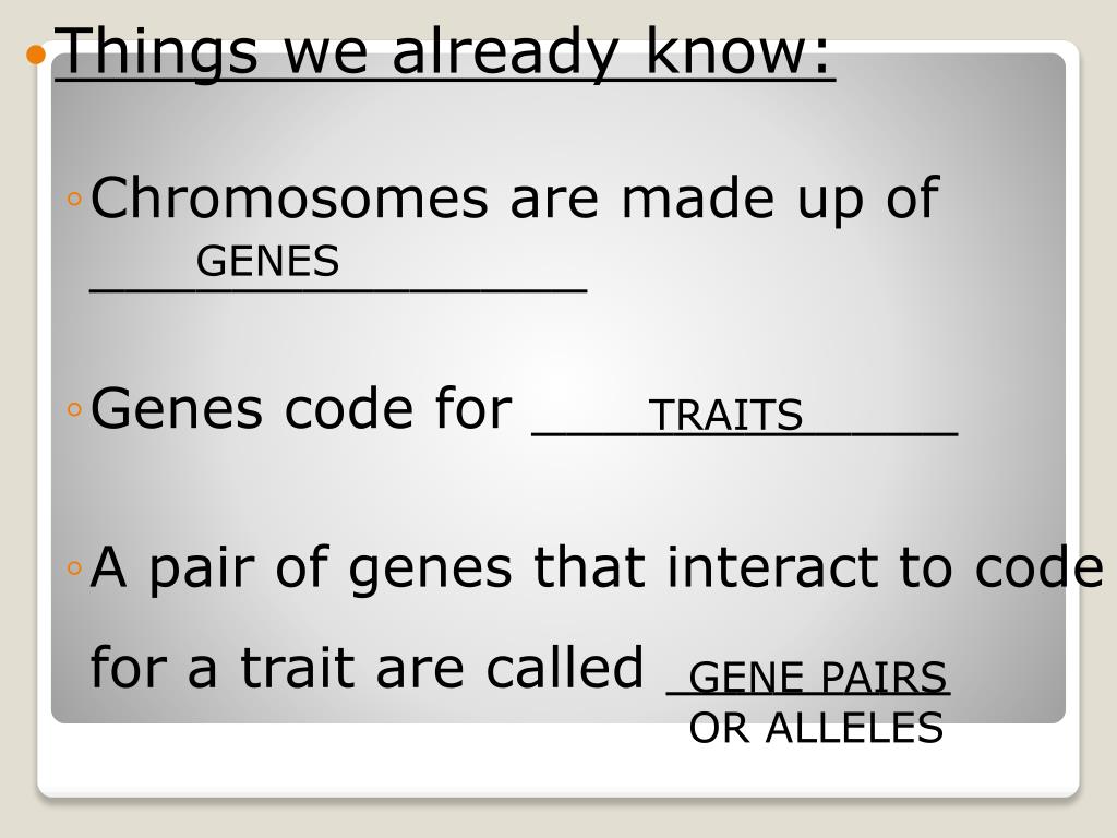 PPT Dominant vs. Recessive and Genotype vs. Phenotype PowerPoint