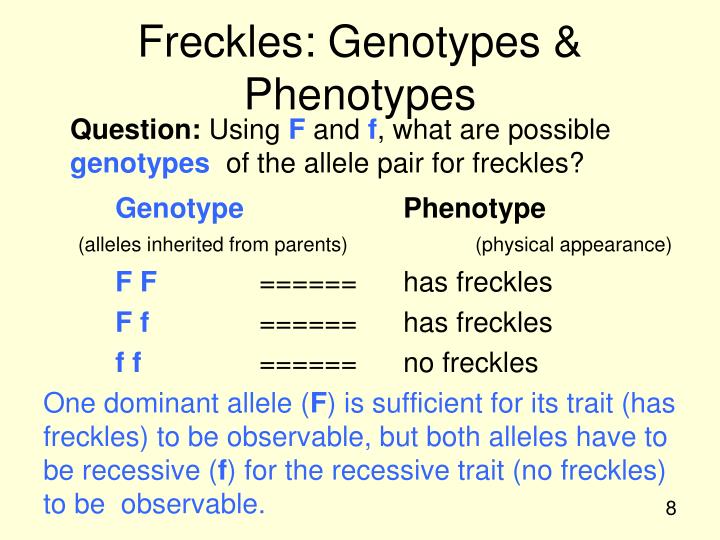 PPT in Harry Potter ’s World PowerPoint Presentation ID