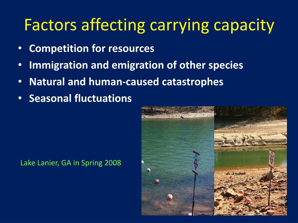 PPT Population Dynamics PowerPoint Presentation, free download ID