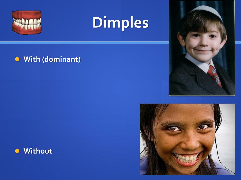 PPT Hereditary Traits PowerPoint Presentation, free download ID2163752