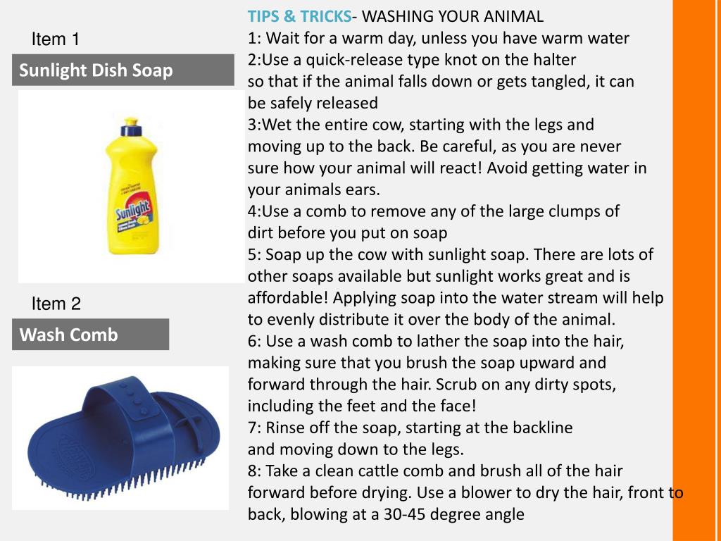 PPT Beginners Handbook for Beef Cattle Enthusiasts PowerPoint