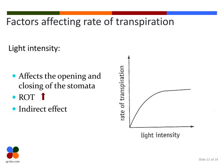 PPT Xerophytes & Transpiration Factors PowerPoint Presentation ID