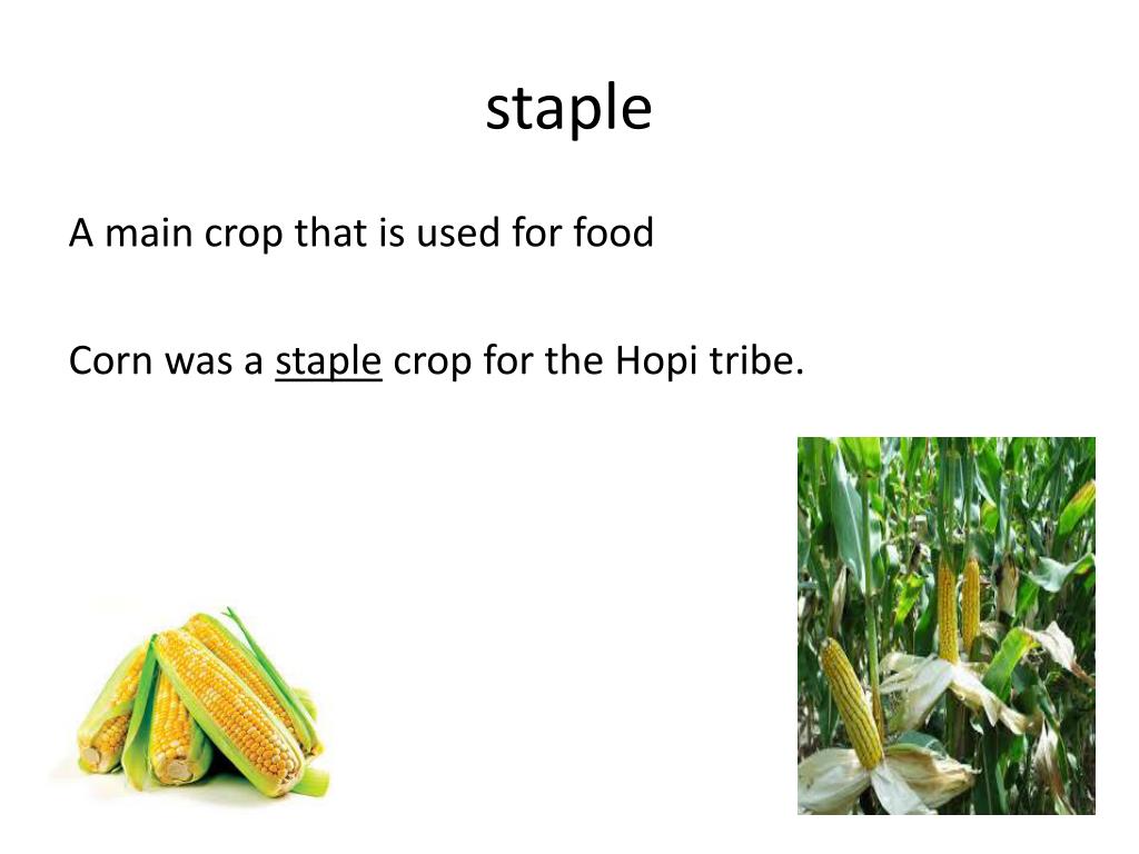 PPT Unit 1 Native Americans PowerPoint Presentation, free download