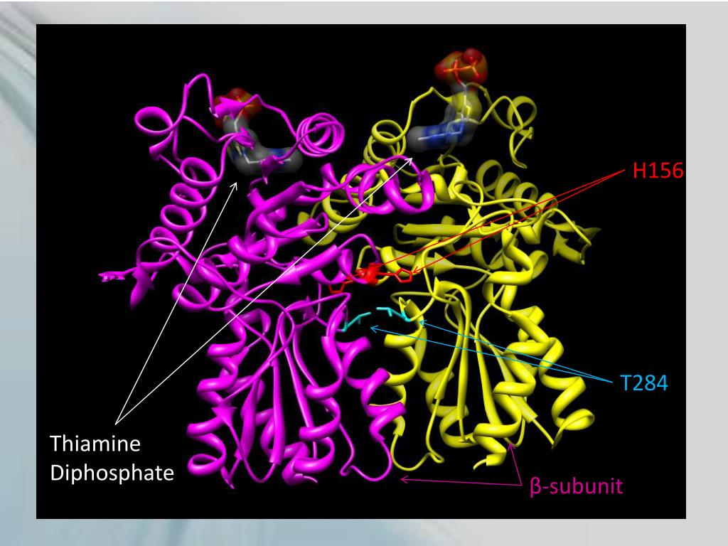 PPT Classic Severe Maple Syrup Urine Disease PowerPoint Presentation