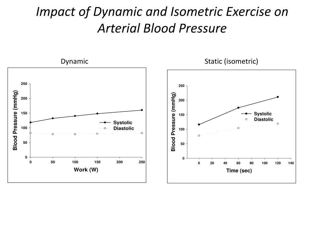 PPT Cardiovascular response to exercise PowerPoint