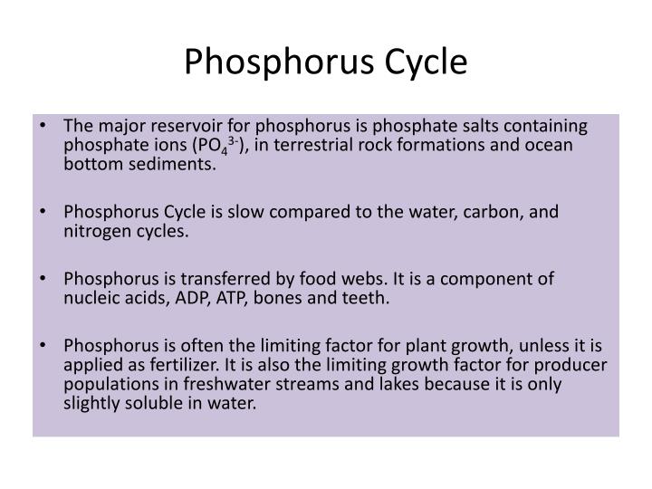 PPT Abiotic Cycles PowerPoint Presentation ID2170024
