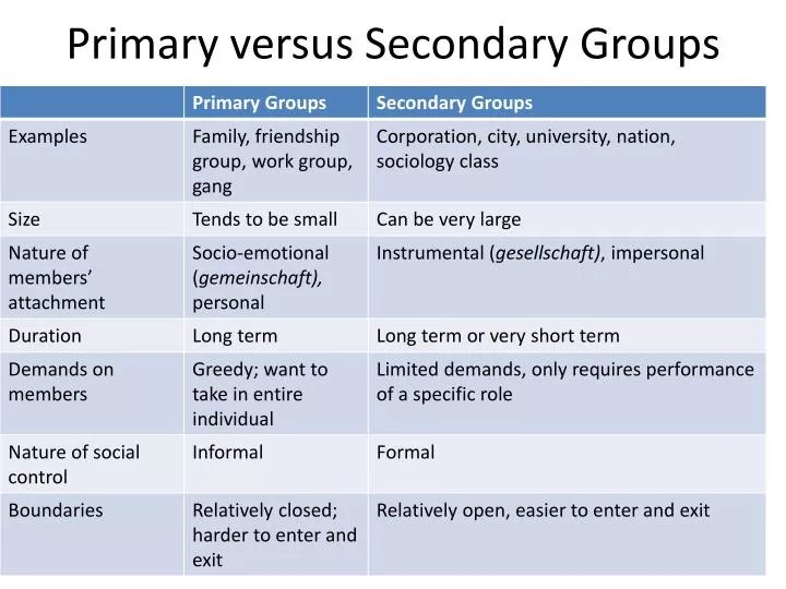 PPT Primary versus Secondary Groups PowerPoint Presentation, free