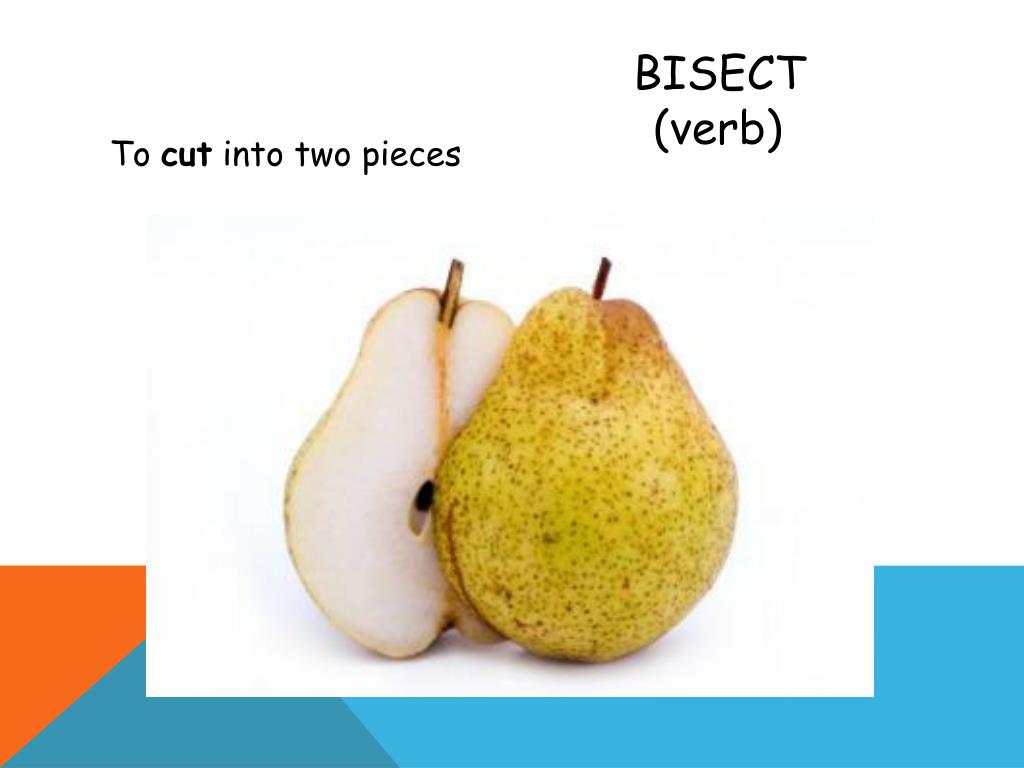 PPT - Word list #5 root word: sect PowerPoint Presentation, free