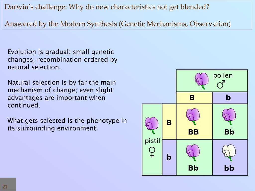 PPT Underlying Biology PowerPoint Presentation, free download ID