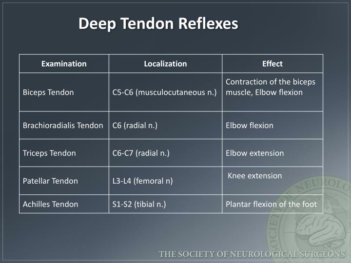 PPT Neurological and Neurotrauma Assessment PowerPoint Presentation