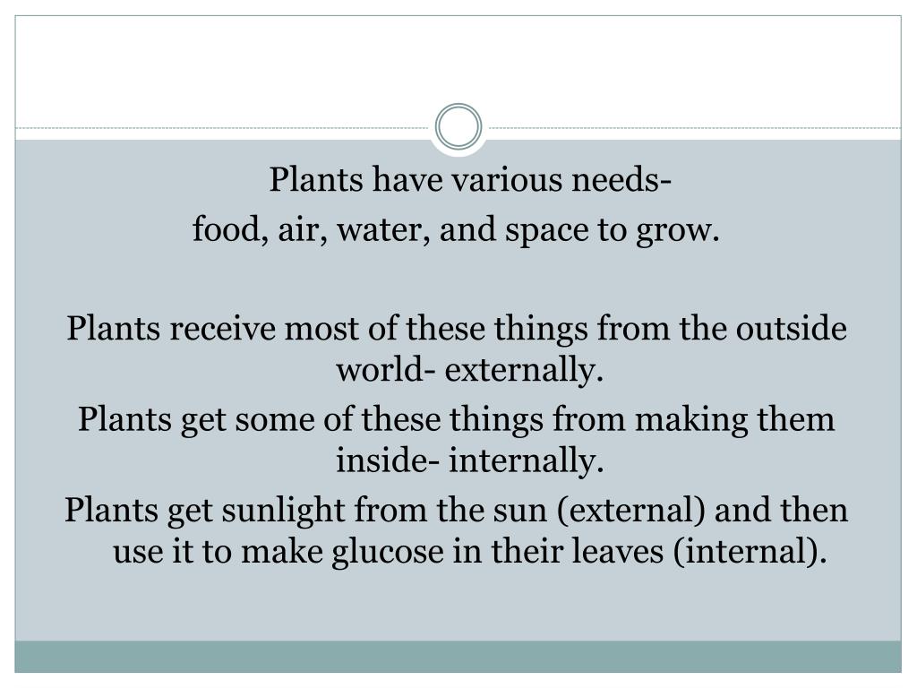 PPT Plants and External Stimuli PowerPoint Presentation, free