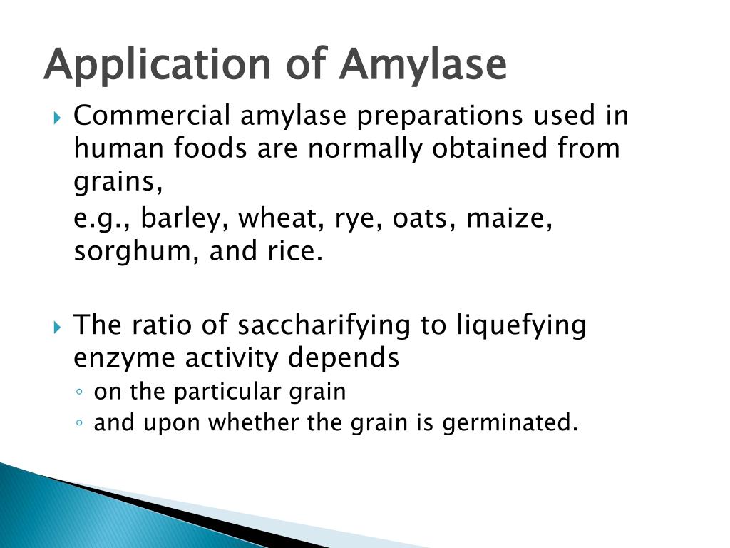 PPT Applied Enzyme Catalysis PowerPoint Presentation, free download