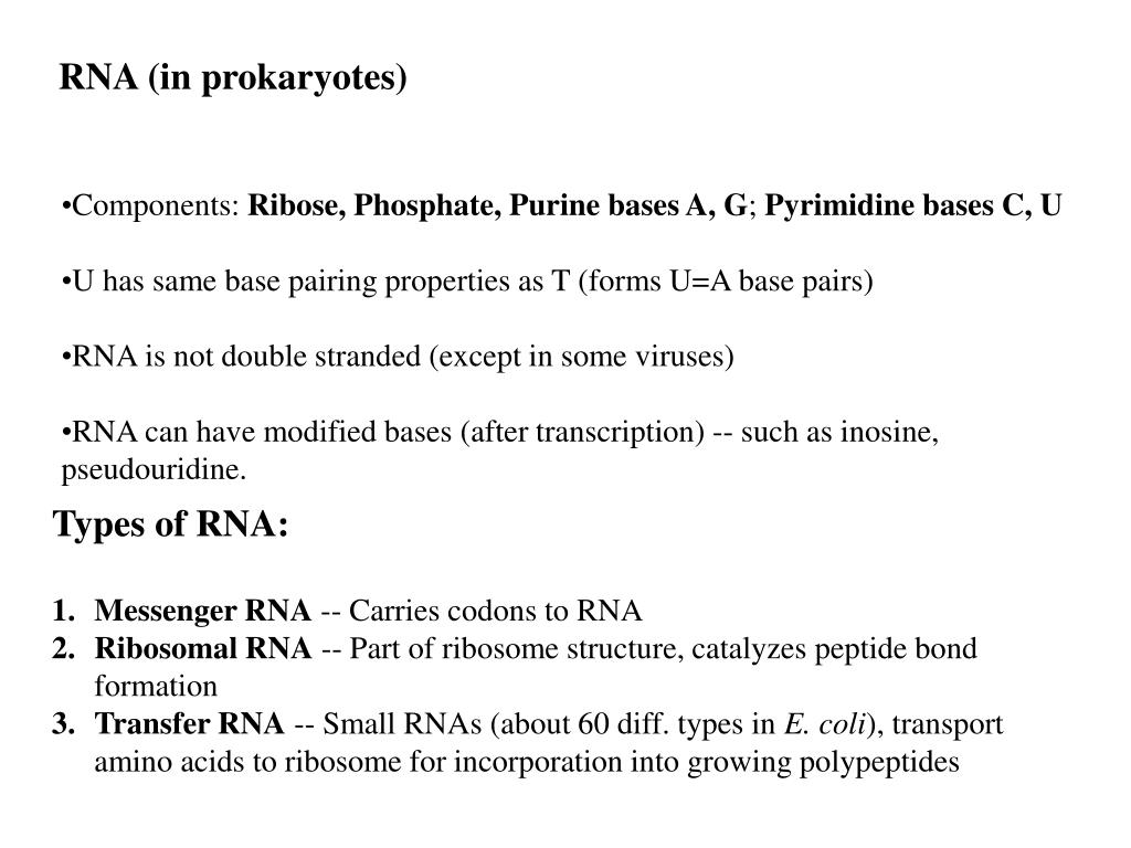PPT Isolation, Cultivation, and Nutrition of Bacteria PowerPoint