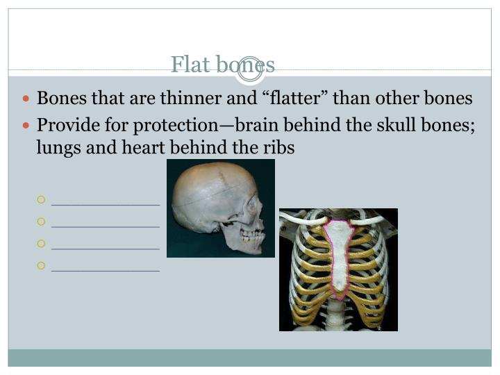 PPT Your Skeletal System PowerPoint Presentation ID