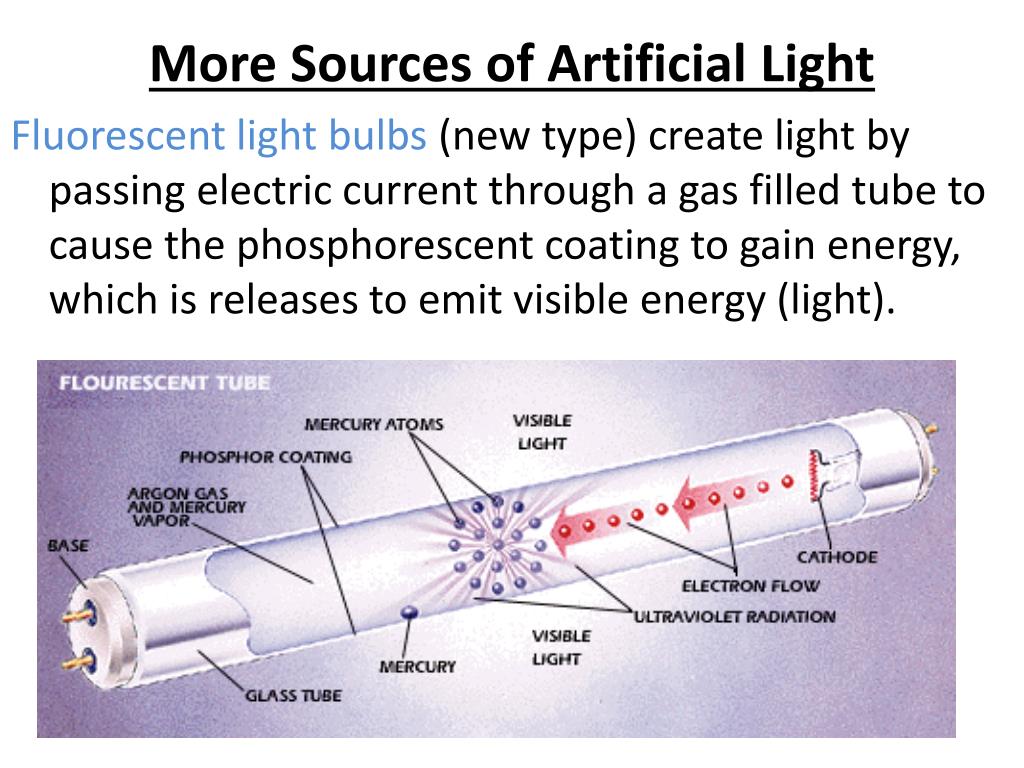 Best Artificial Light Sources at Charles Stayton blog