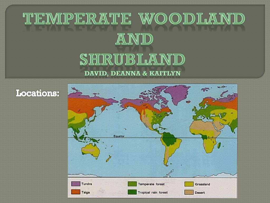 PPT Temperate Woodland and Shrubland David, Deanna & Kaitlyn