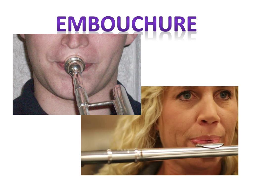 PPT Musical Terms Level 1 PowerPoint Presentation, free download ID