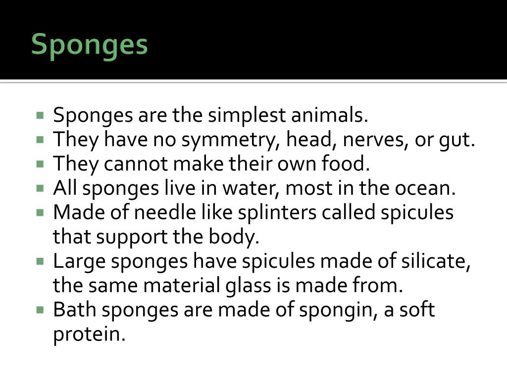 PPT Invertebrates and Vertebrates PowerPoint Presentation, free