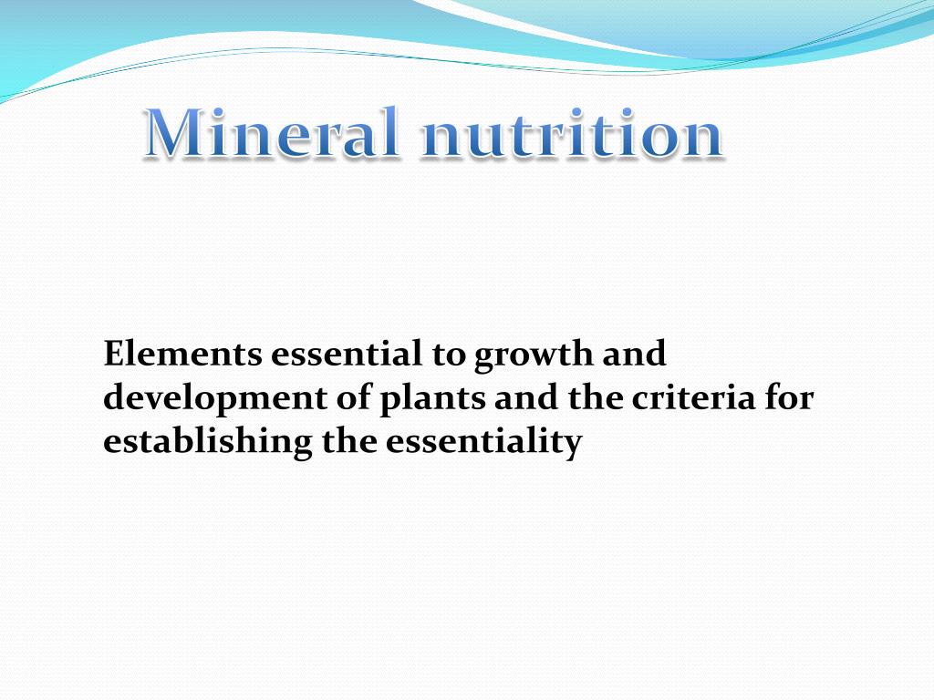 PPT Mineral nutrition PowerPoint Presentation, free download ID2180205
