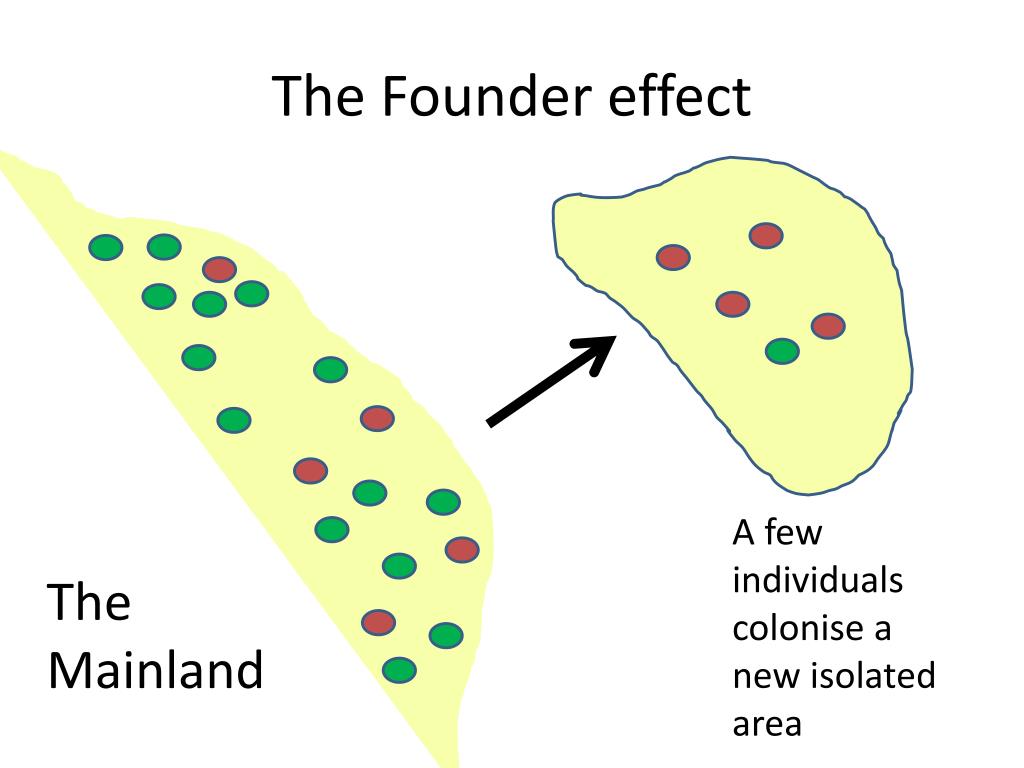 PPT Unit 4 Evolution PowerPoint Presentation, free download ID2180816