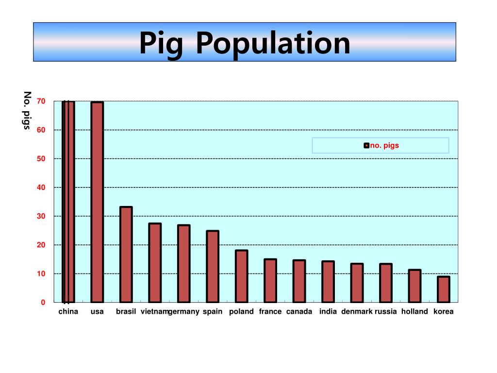PPT Pigs in the World PowerPoint Presentation, free download ID2181799