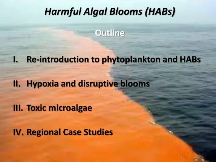 PPT Harmful Algal Blooms (HABs) PowerPoint Presentation, free