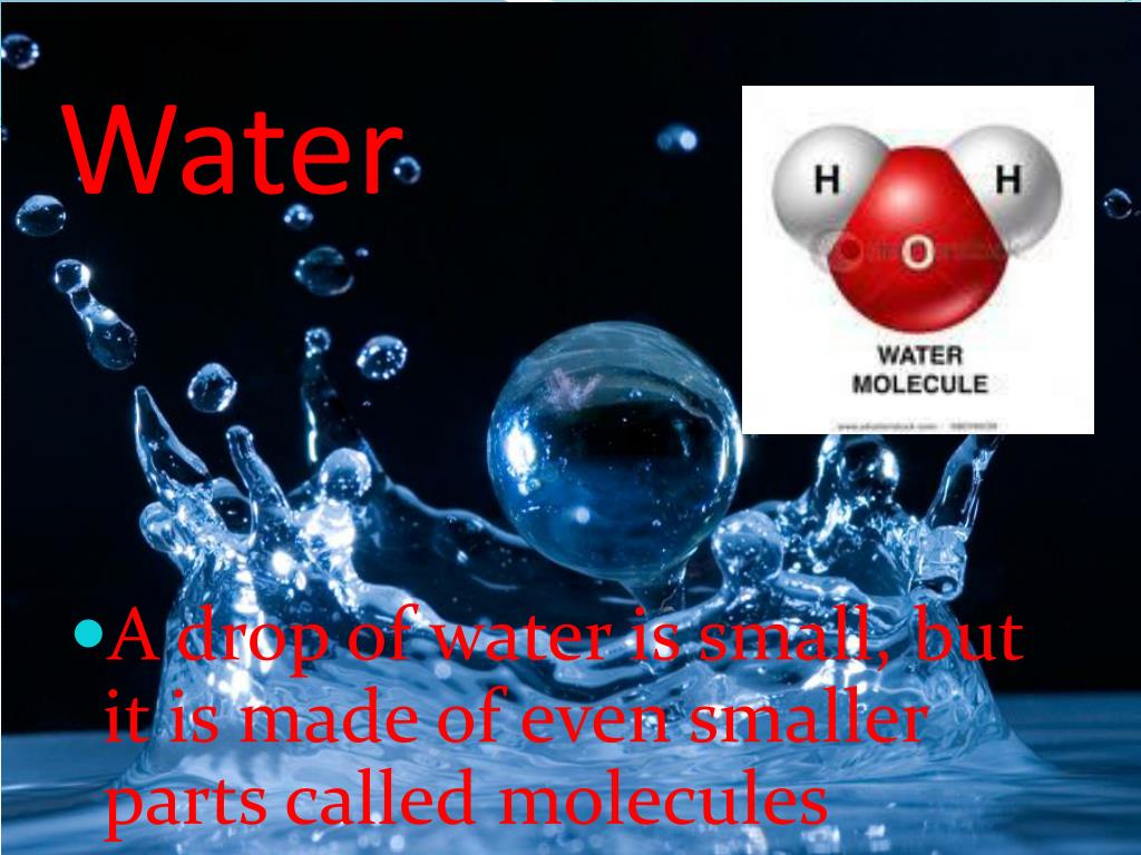 PPT Water Cohesion and Surface Tension PowerPoint Presentation, free
