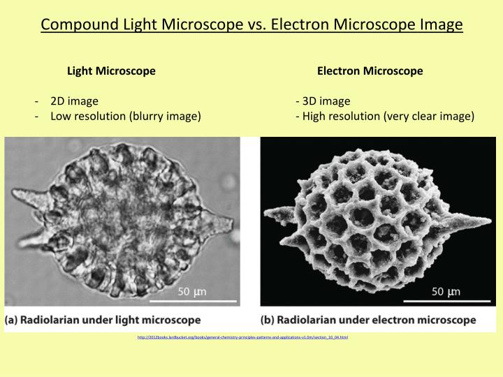 🏷️ Compound electron microscope. Differences between Light Microscope
