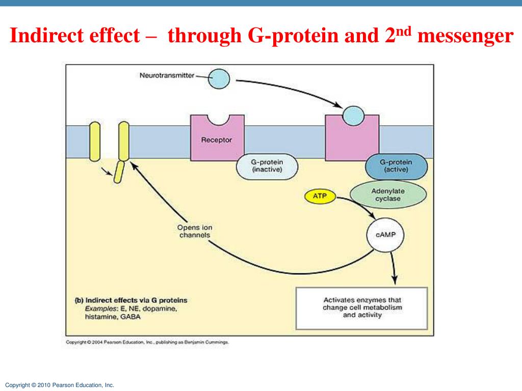 PPT Endocrine system PowerPoint Presentation, free download ID2186492
