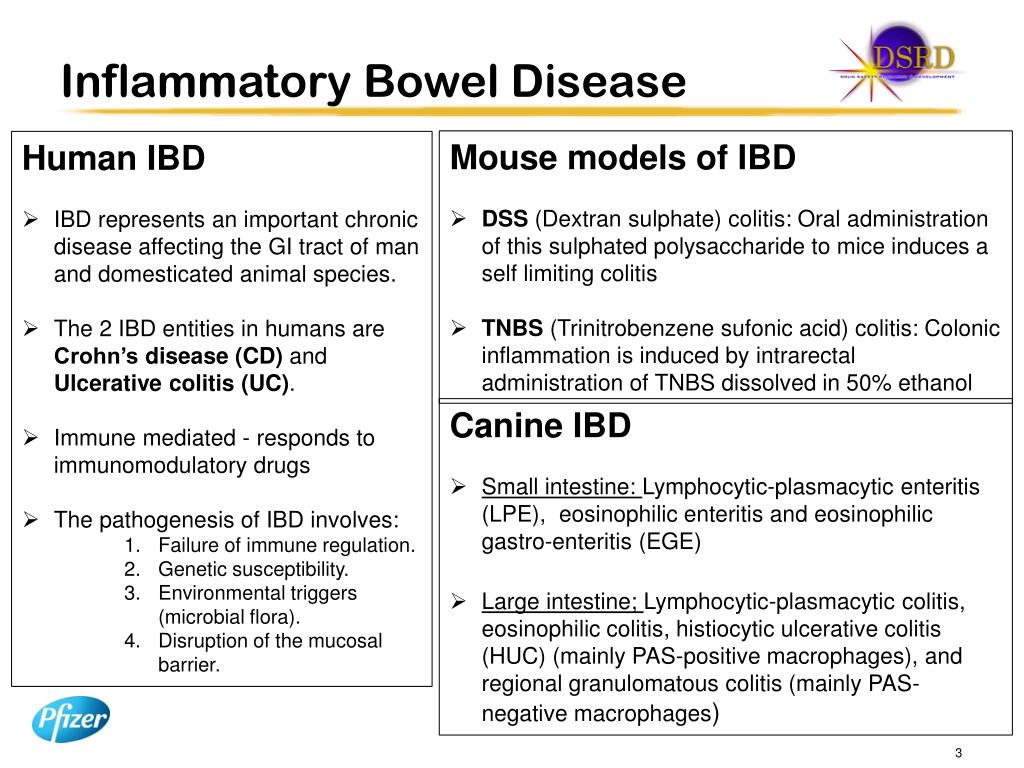 PPT TL1A Expression in Human IBD and Animal Models PowerPoint
