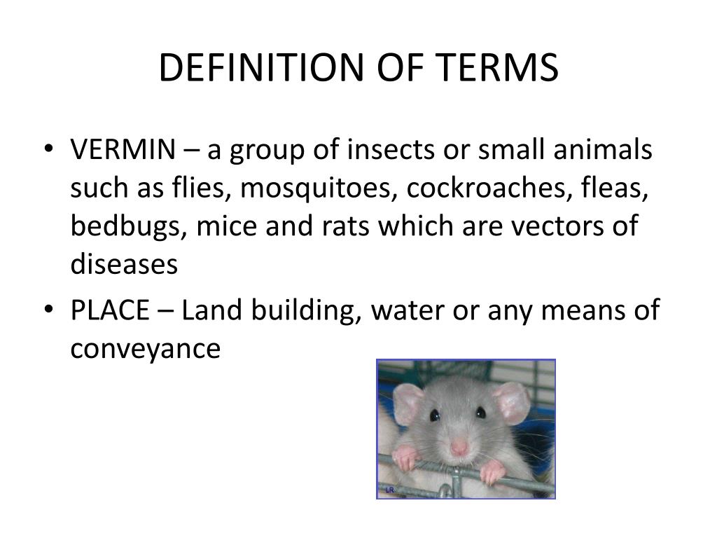 PPT VERMIN CONTROL PowerPoint Presentation, free download ID2188930