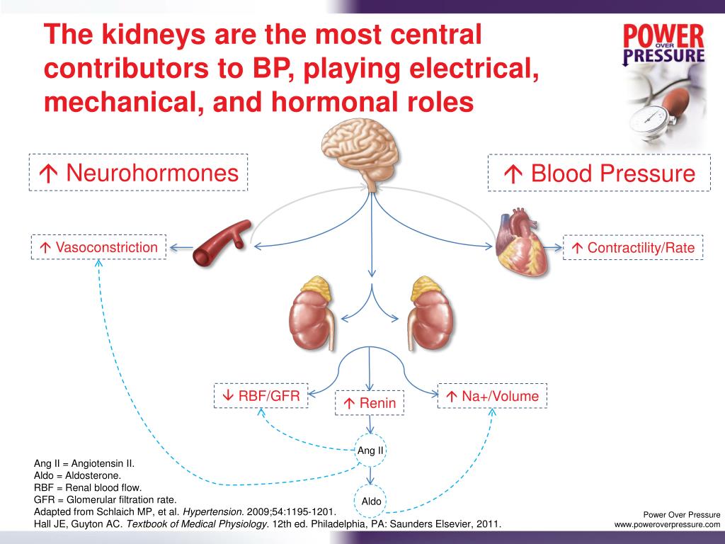 PPT TreatmentResistant Hypertension Pathophysiology PowerPoint