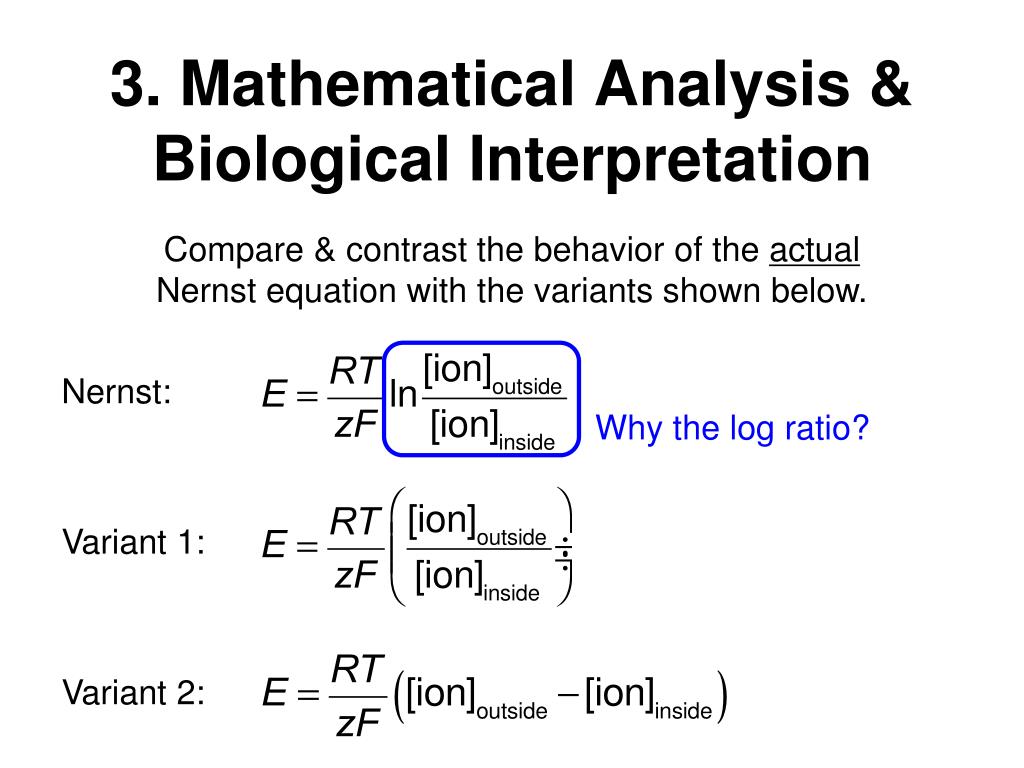 PPT 10 Equations in Biology The Nernst Equation