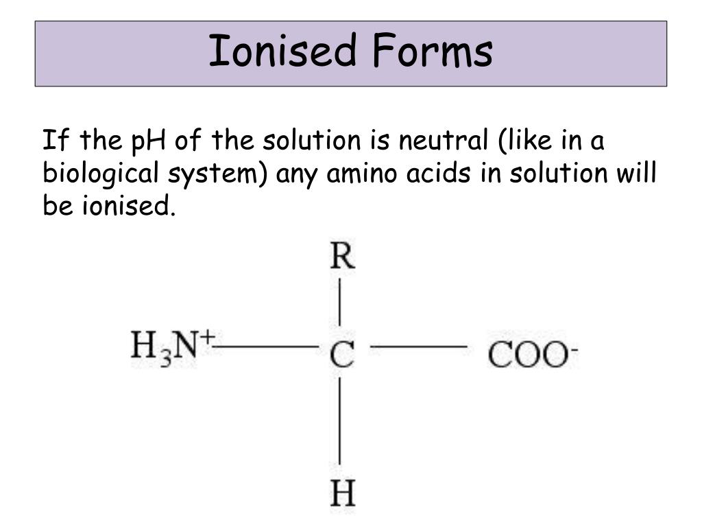 PPT Lesson 4 Proteins Amino Acid Structure and the Peptide Bond
